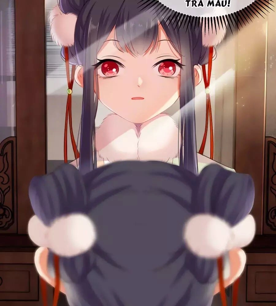 Trọng Sinh Chi Đích Nữ Bất Thiện Chapter 1 - 47