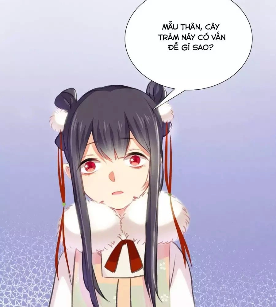 Trọng Sinh Chi Đích Nữ Bất Thiện Chapter 4 - 9