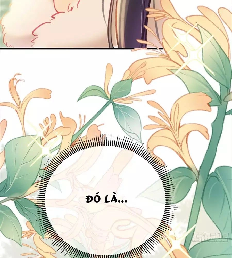 Trọng Sinh Chi Đích Nữ Bất Thiện Chapter 7 - 48