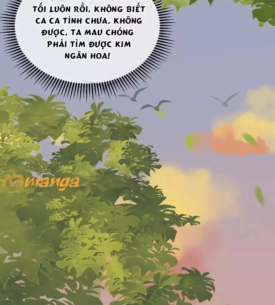 Trọng Sinh Chi Đích Nữ Bất Thiện Chapter 8 - 18