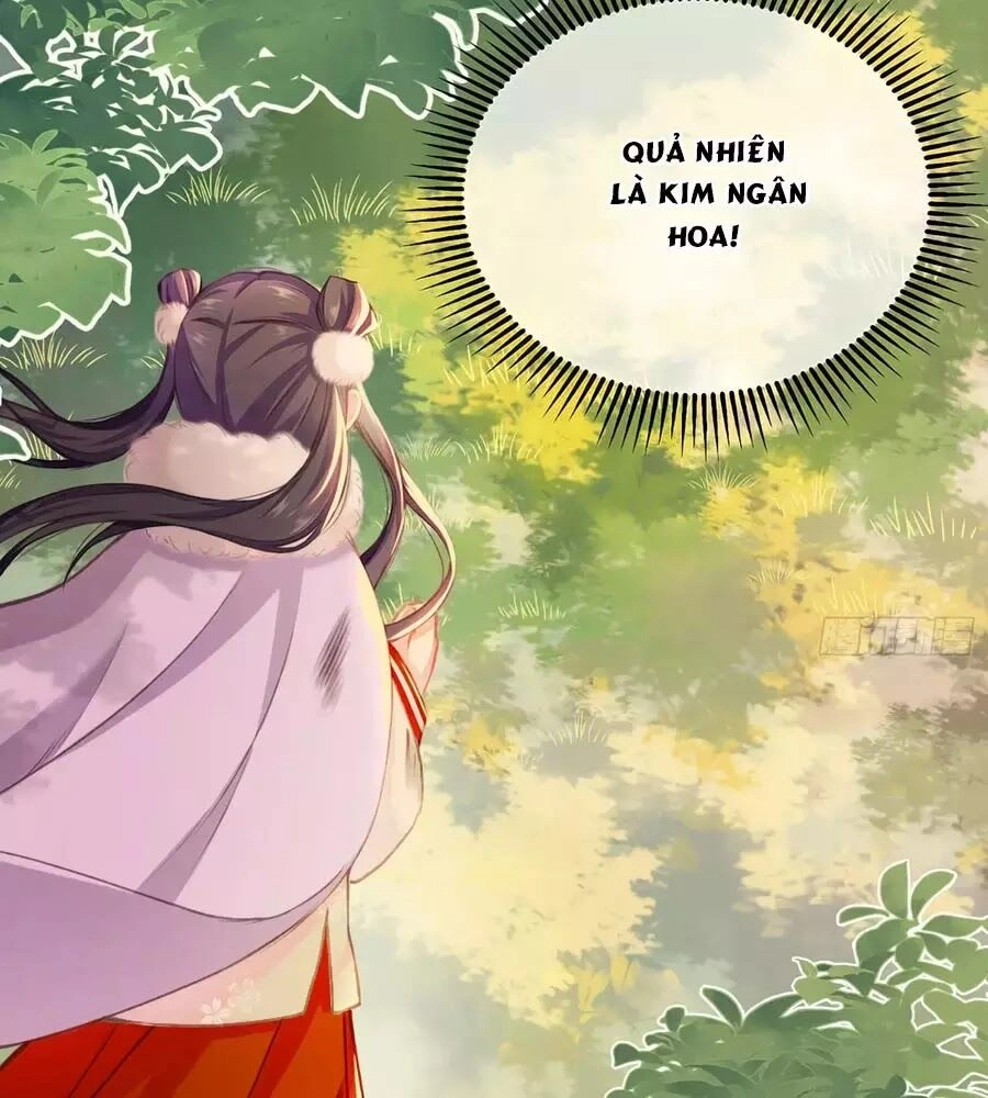 Trọng Sinh Chi Đích Nữ Bất Thiện Chapter 8 - 23