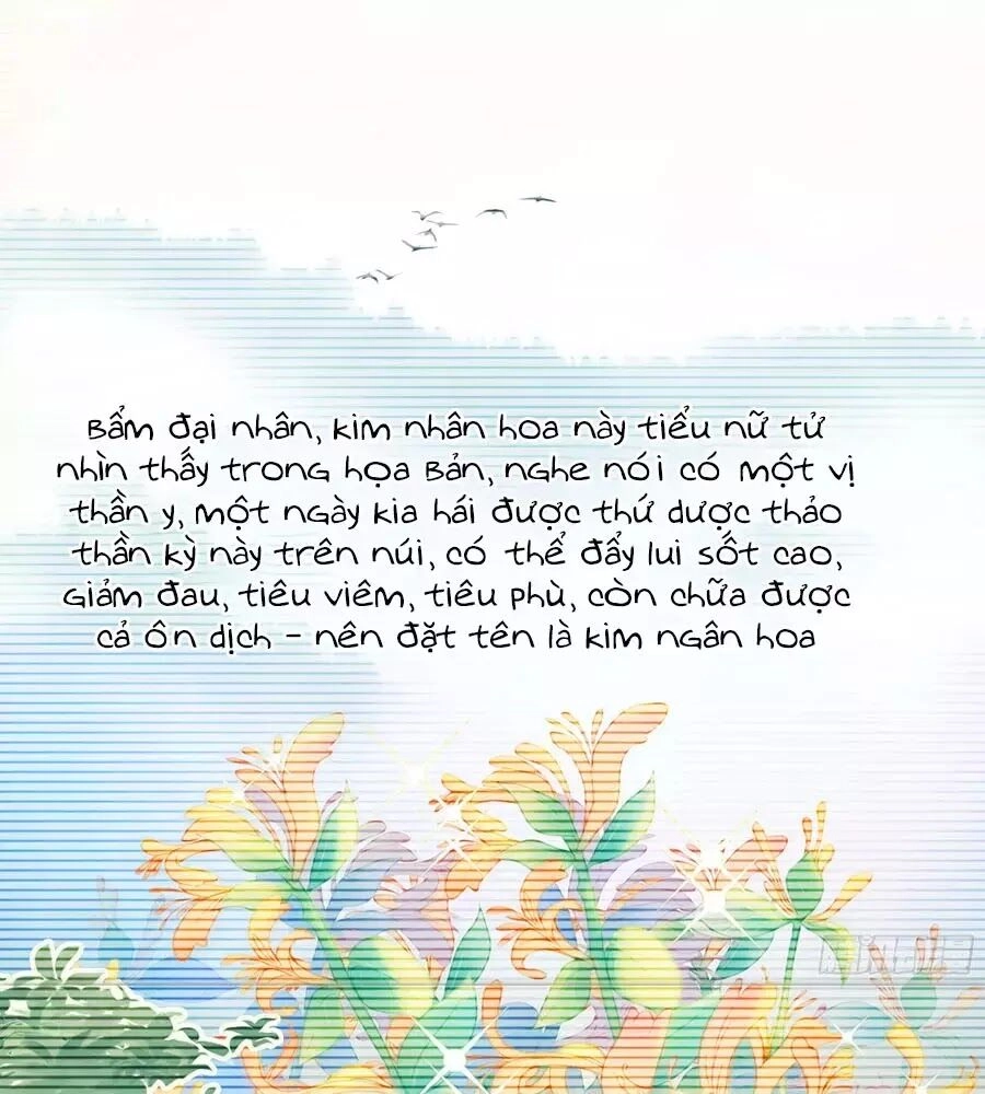 Trọng Sinh Chi Đích Nữ Bất Thiện Chapter 13 - 33