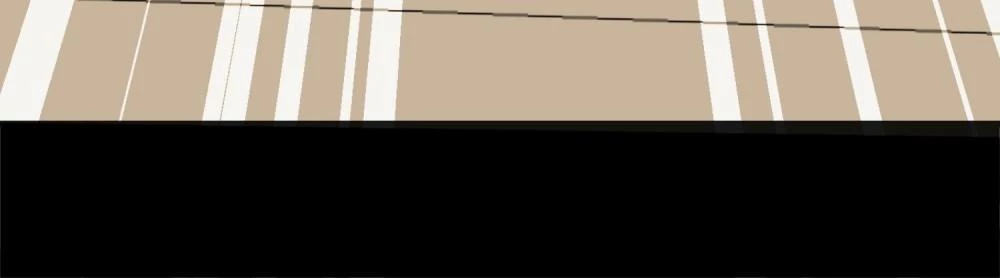 Thú Hắc Cuồng Phi Chapter 100 - 9