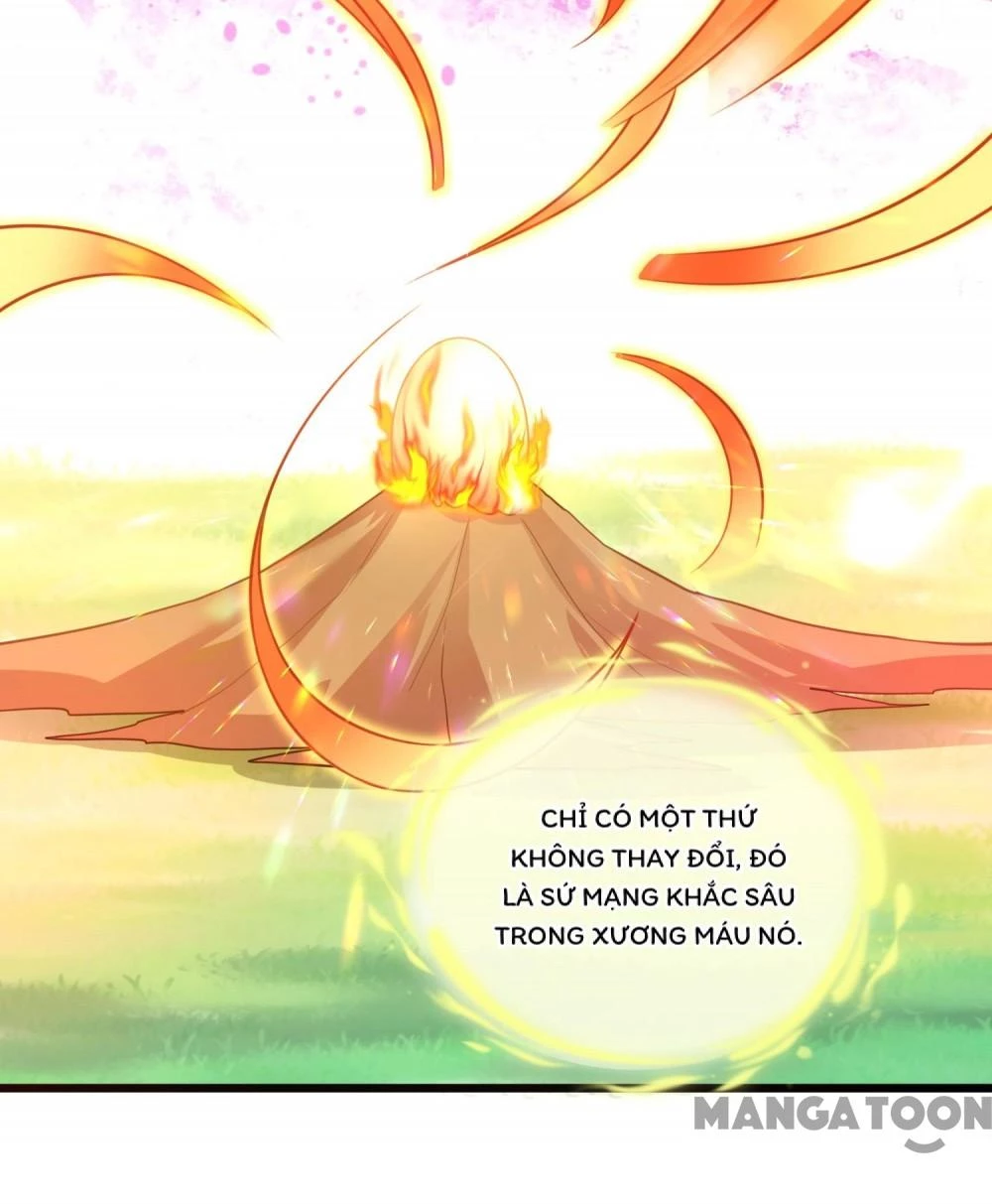 Thú Hắc Cuồng Phi Chapter 220 - 42