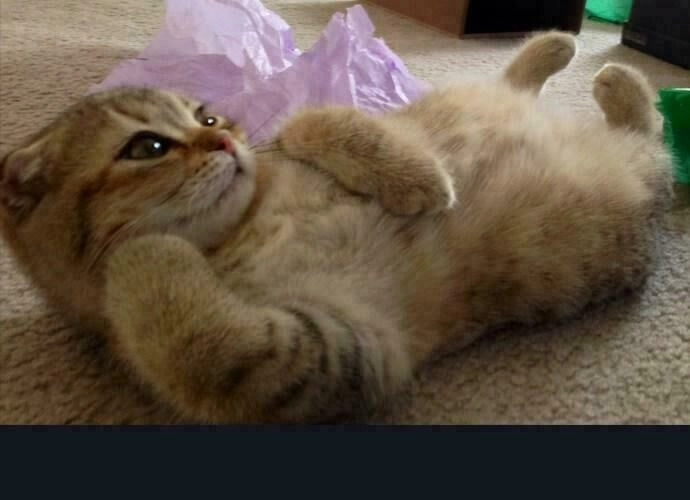 Tòa Tháp Bí Ẩn Chapter 187 - 35