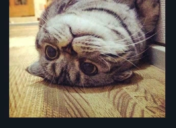 Tòa Tháp Bí Ẩn Chapter 189 - 42