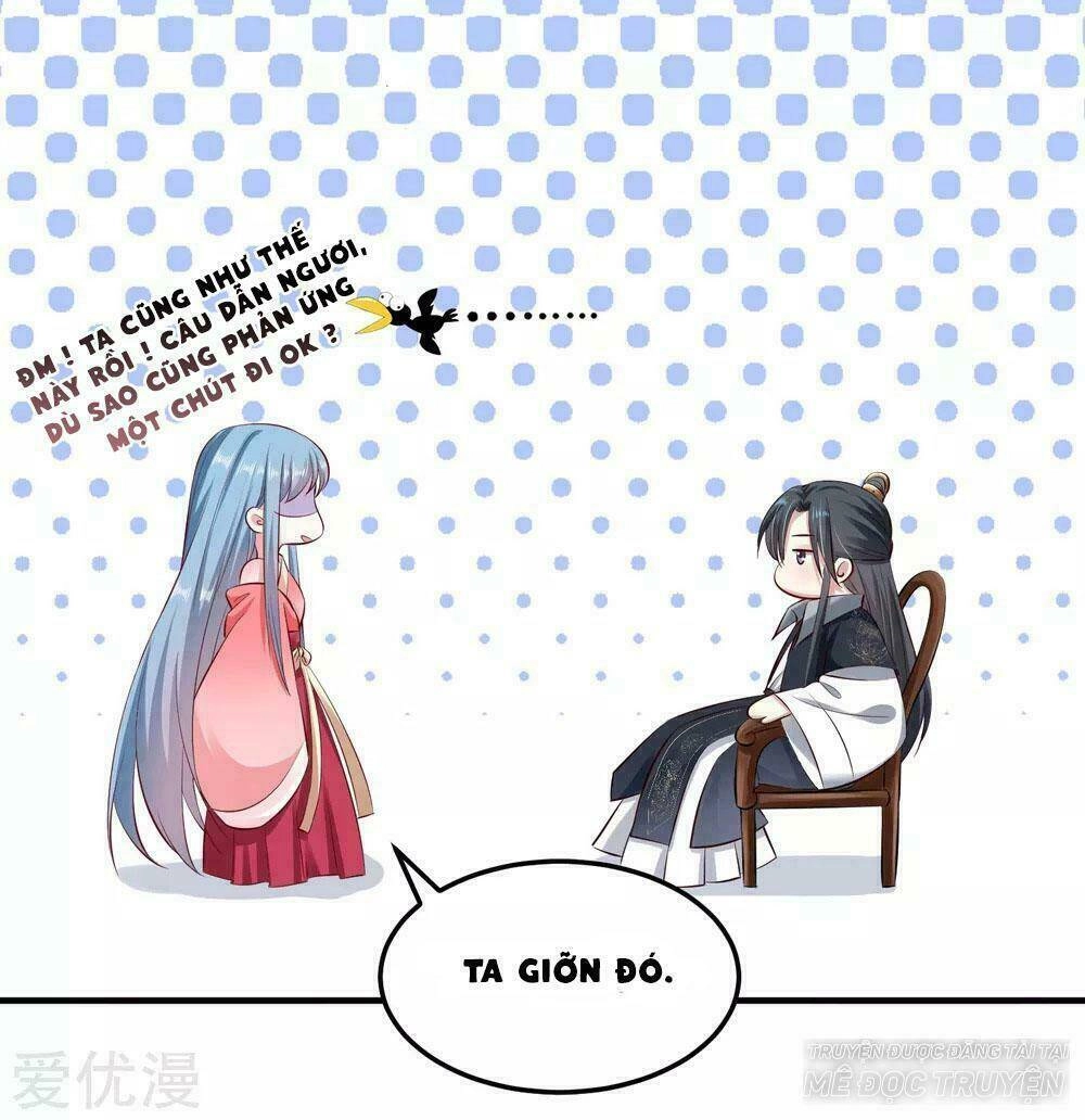 Độc Y Đích Nữ Chapter 10 - 30