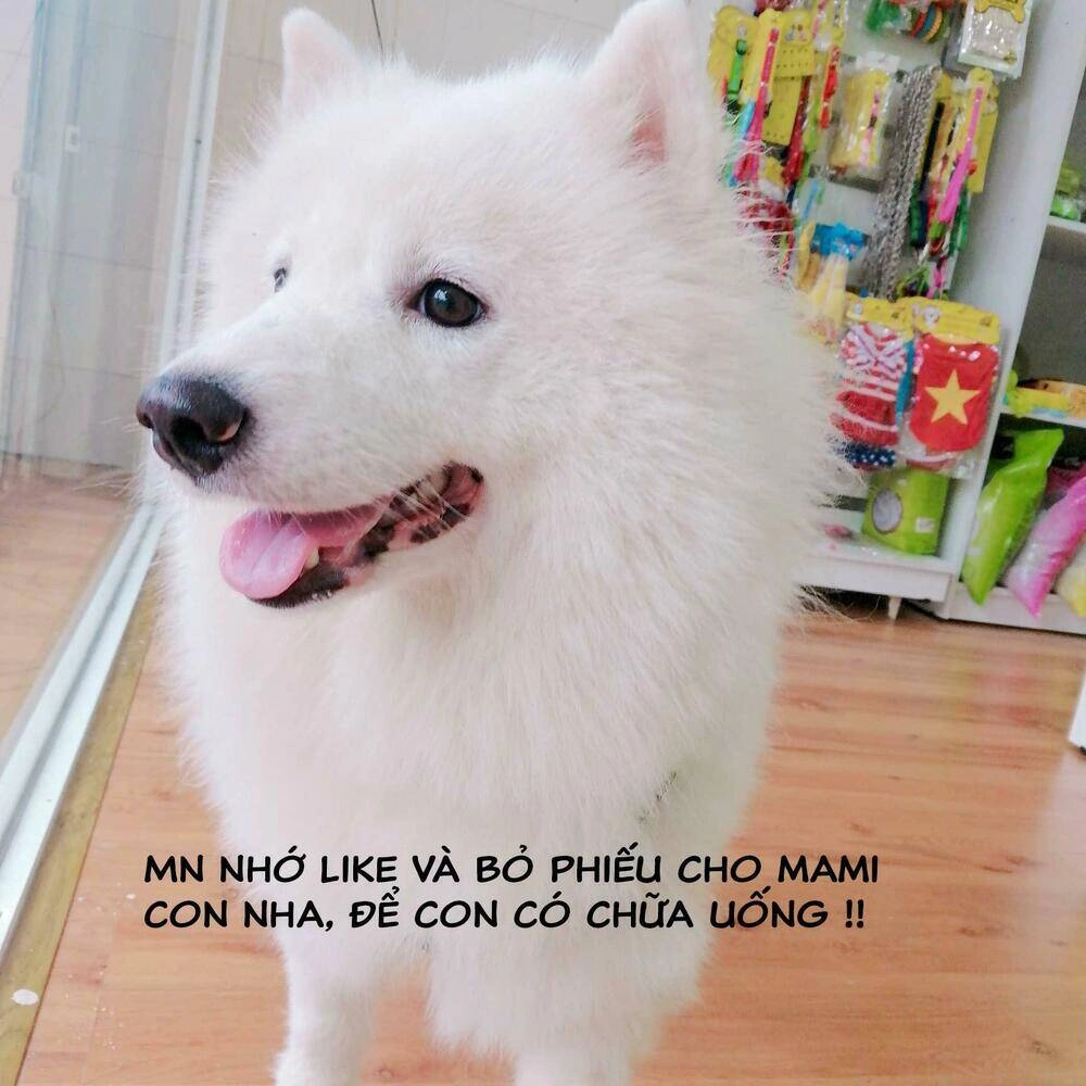 Độc Y Đích Nữ Chapter 15 - 37