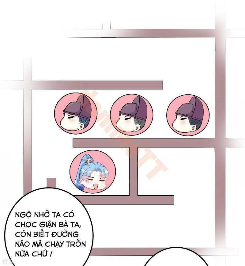 Độc Y Đích Nữ Chapter 76 - 20