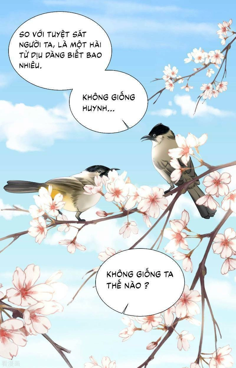 Độc Y Đích Nữ Chapter 97 - 17