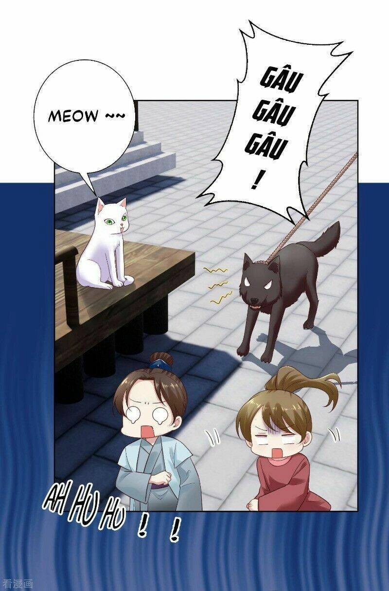 Độc Y Đích Nữ Chapter 127 - 22