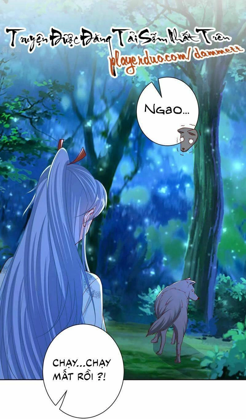 Độc Y Đích Nữ Chapter 147 - 11