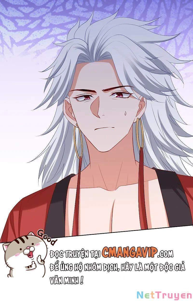 Độc Y Đích Nữ Chapter 230 - 5