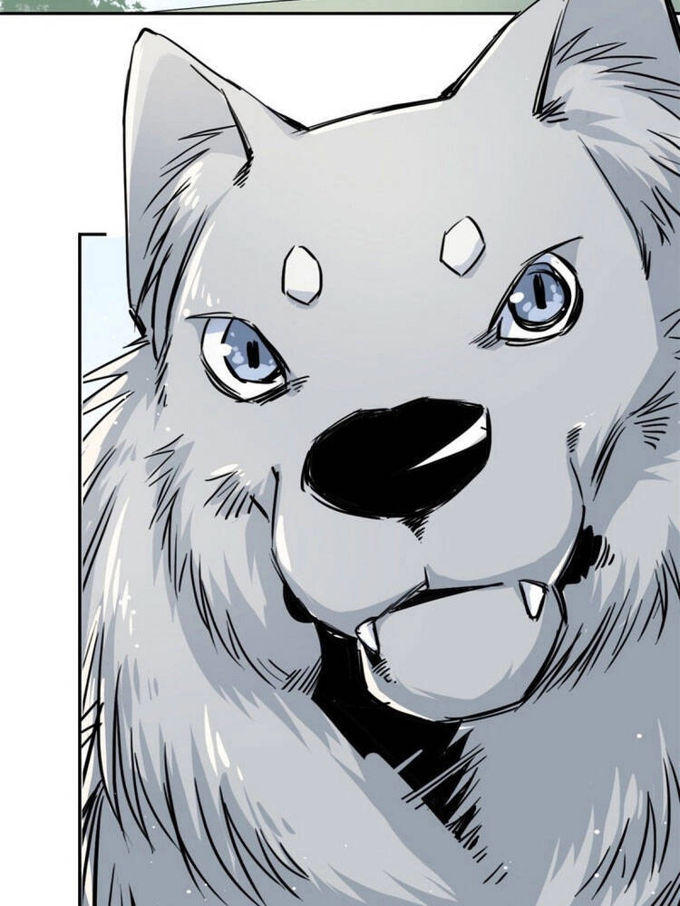 Ta Tự Thành Hoàng Không Cần Thiên Mệnh Chapter 21 - 14