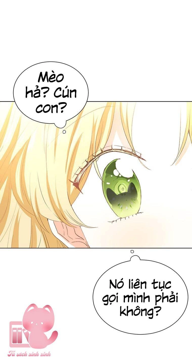 Công Tước, Đó Là Anh Trai Tôi Chapter 5 - 7