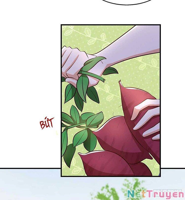 Thú Thế Cuồng Phi: Bất Đương Dị Giới Nữ Hải Vương Chapter 35 - 27