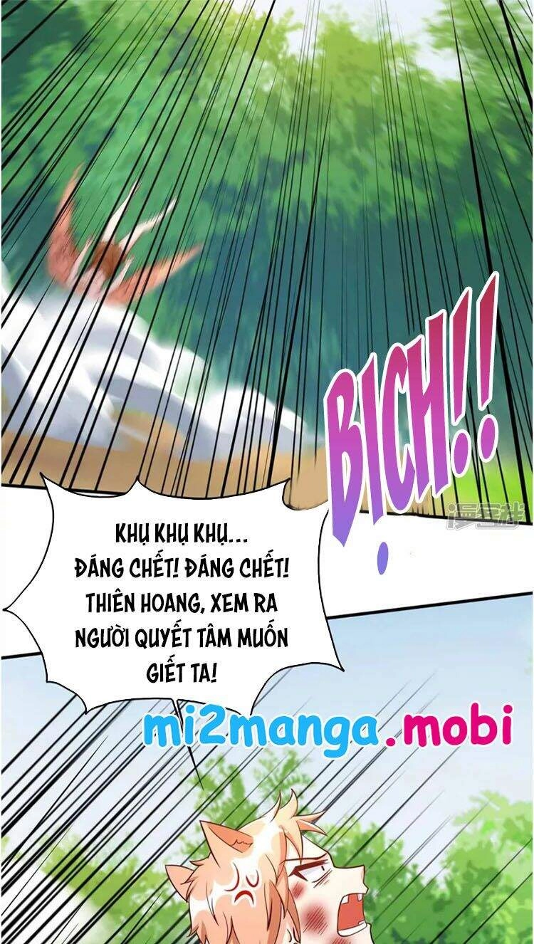 Thú Thế Cuồng Phi: Bất Đương Dị Giới Nữ Hải Vương Chapter 41 - 22