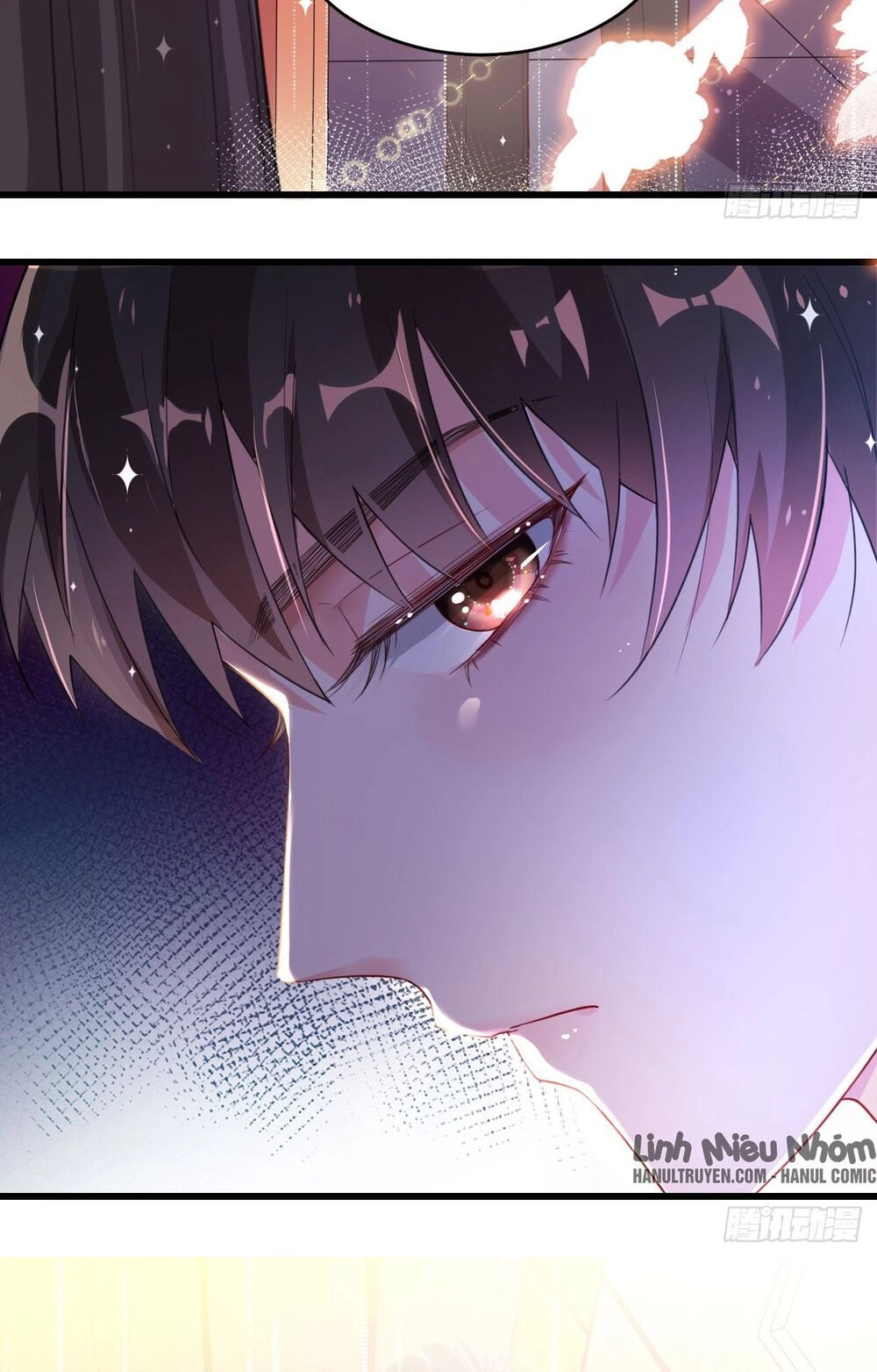 Dĩ Hôn Chi Danh Chapter 1.2 - 14