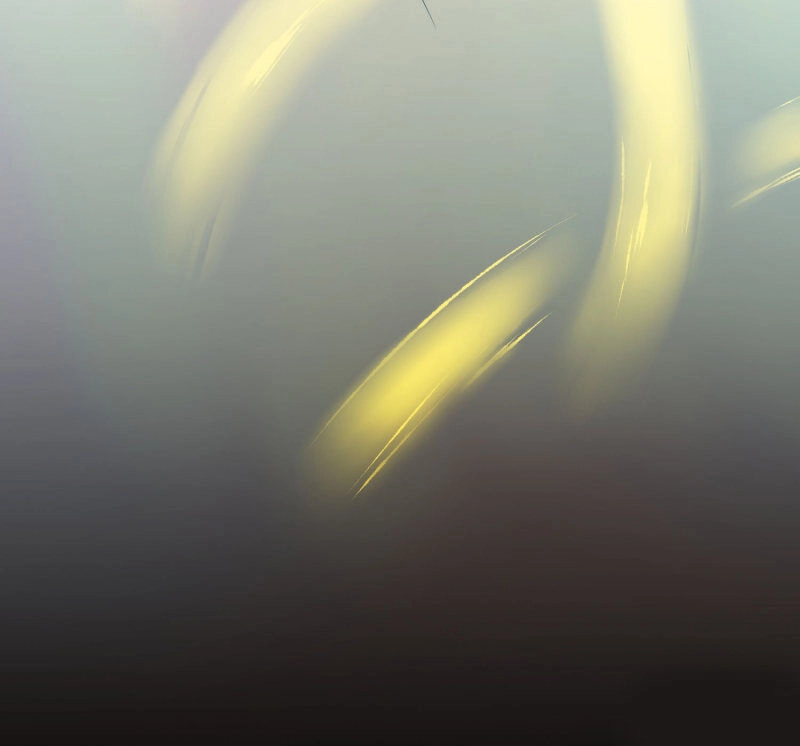 Nghịch Chuyển Tiên Đồ Chapter 59 - 27