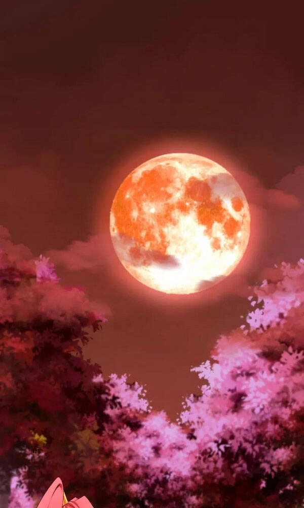 Nghịch Chuyển Tiên Đồ Chapter 216 - 12