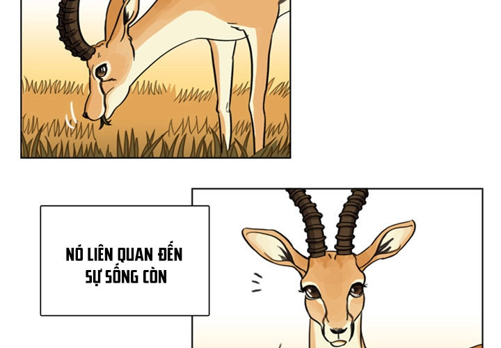 Cậu Ấy Xinh Quá! Chapter 3 - 4