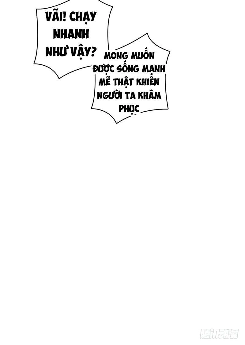 Chí Tôn Võ Đế Chapter 5 - 14