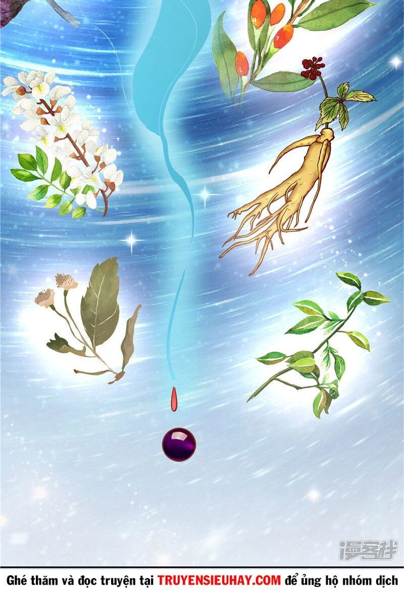 Chí Tôn Võ Đế Chapter 217 - 2