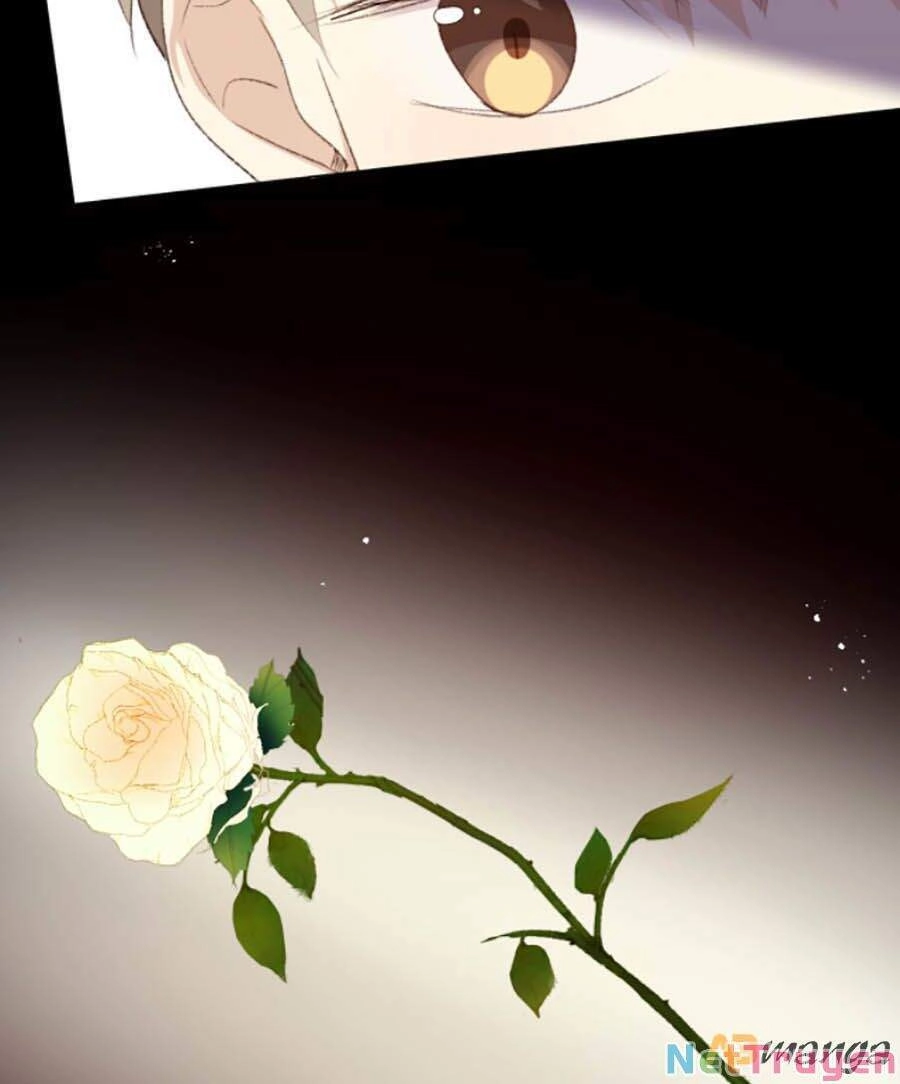 Yêu Thương Em, Yêu Bản Thân Chapter 27 - 19