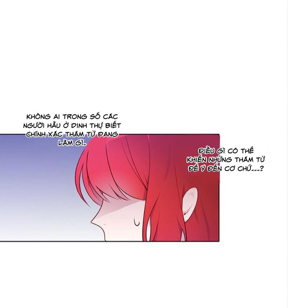 Thám Tử Của Muiella Chapter 13.1 - 13