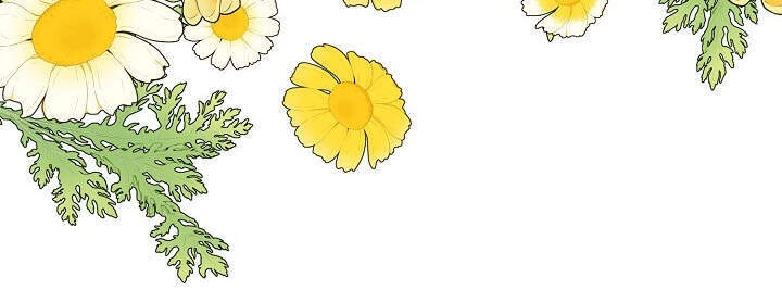 Thám Tử Của Muiella Chapter 137 - 48