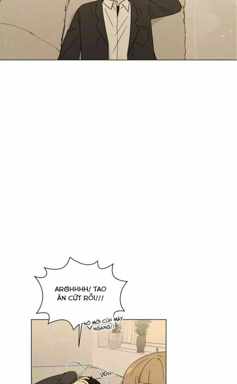 …”Một Sự Thật Khá Khó Chịu.” Chapter 50 - 49