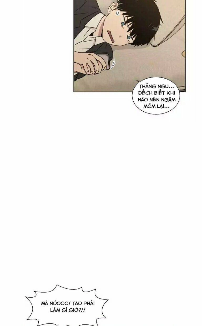 …”Một Sự Thật Khá Khó Chịu.” Chapter 50 - 51