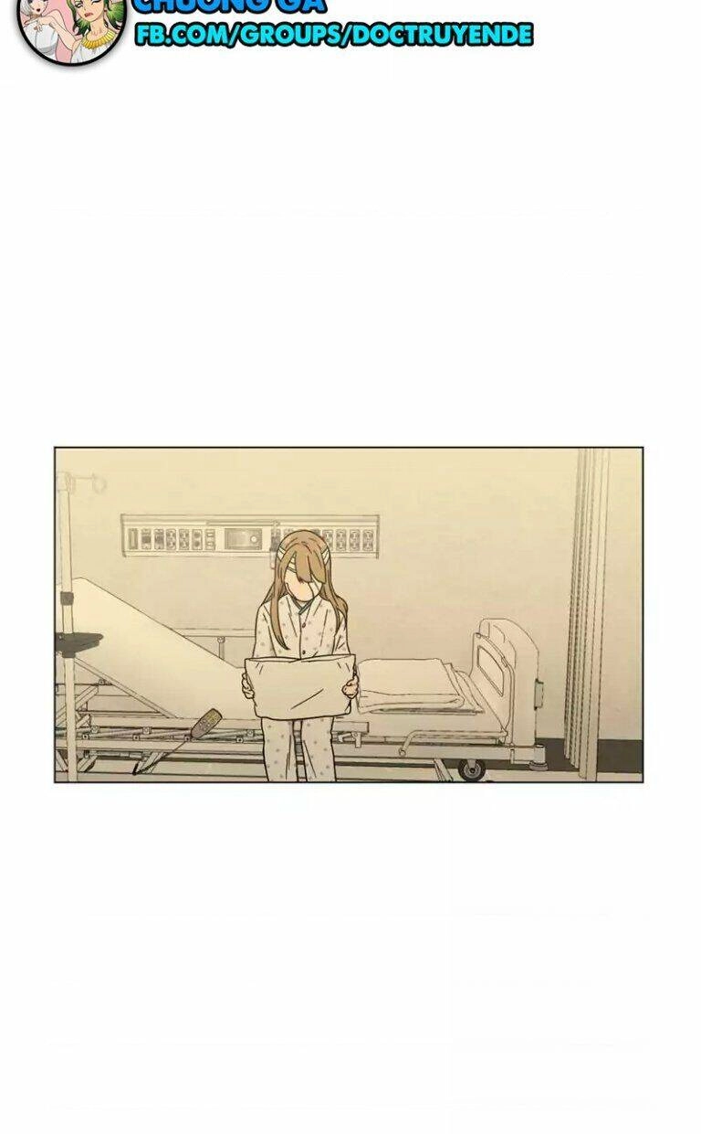 …”Một Sự Thật Khá Khó Chịu.” Chapter 50 - 55