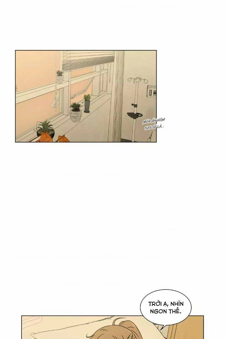 …”Một Sự Thật Khá Khó Chịu.” Chapter 54 - 52