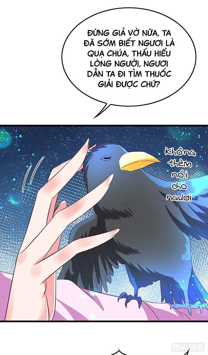 Bệnh Kiều Phu Quân Ngạnh Thượng Cung Chapter 12 - 21