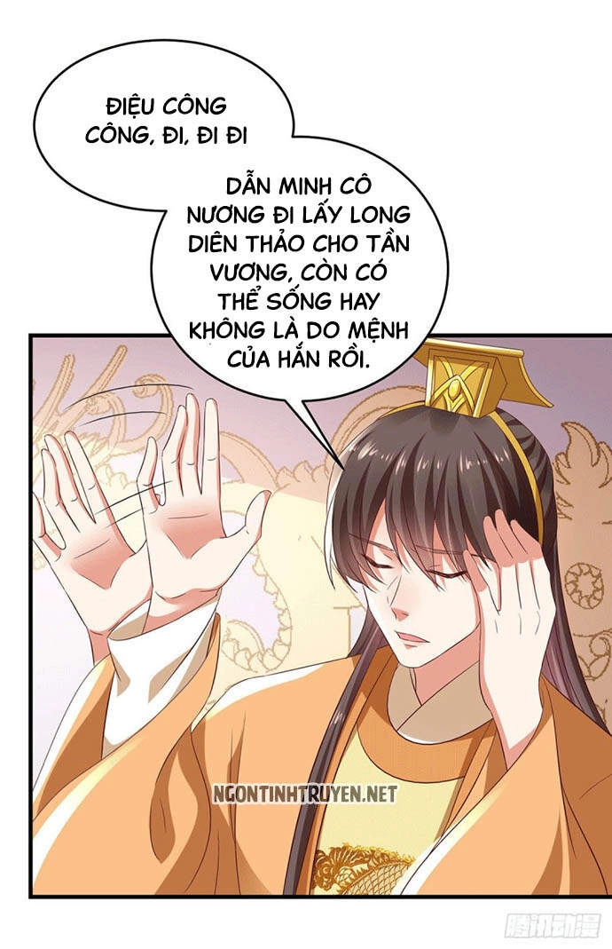 Bệnh Kiều Phu Quân Ngạnh Thượng Cung Chapter 21 - 28