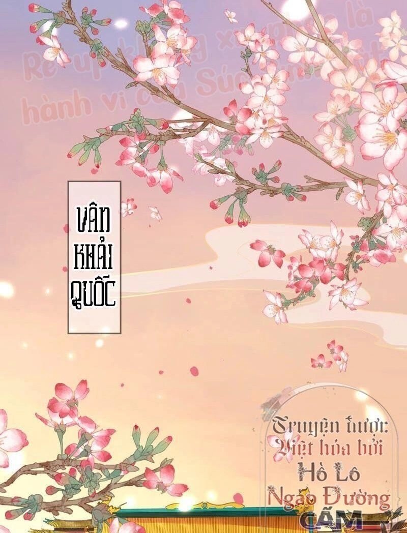 Quận Chúa Vững Vàng, Thiết Lập Nhân Vật Không Thể Vỡ Chapter 1 - 4