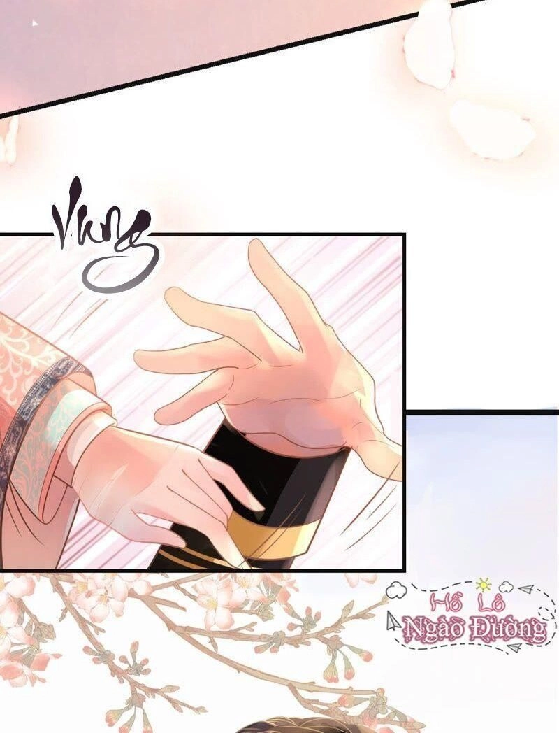 Quận Chúa Vững Vàng, Thiết Lập Nhân Vật Không Thể Vỡ Chapter 1 - 8