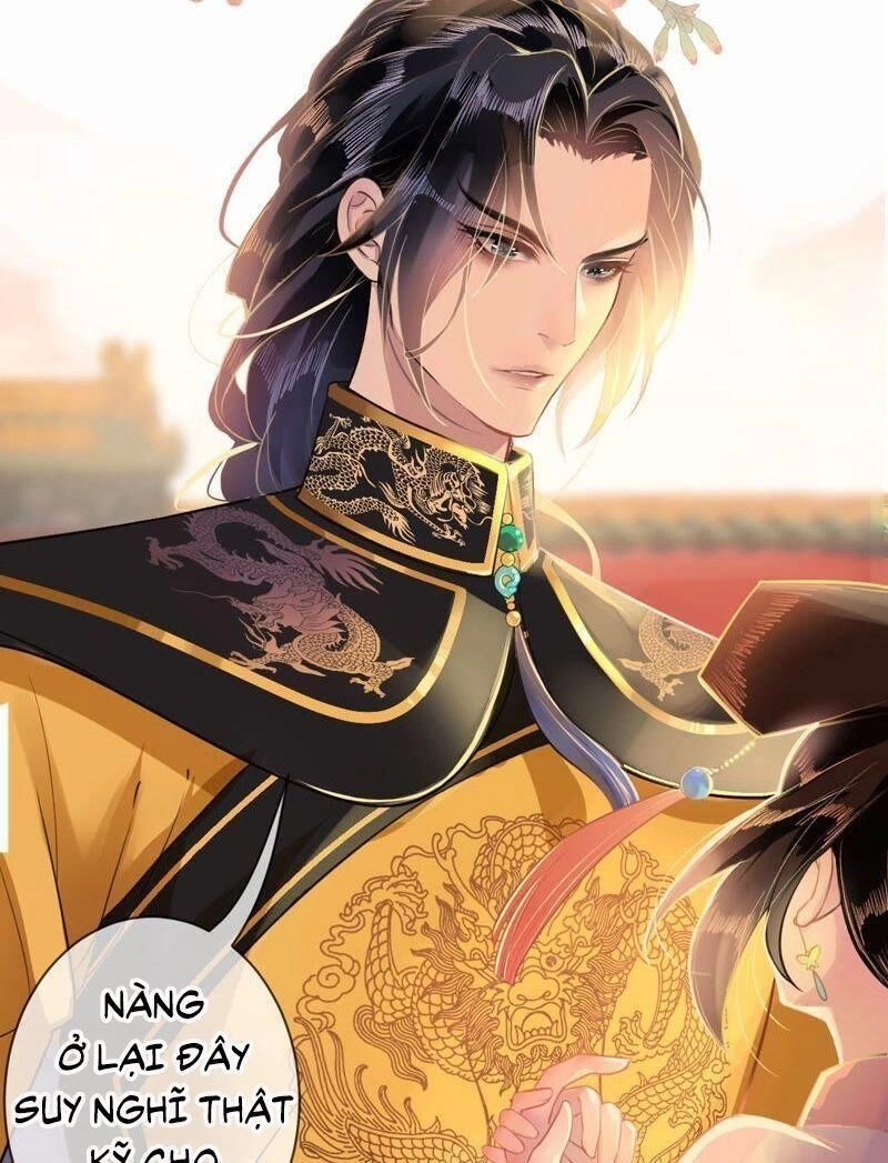 Quận Chúa Vững Vàng, Thiết Lập Nhân Vật Không Thể Vỡ Chapter 1 - 9