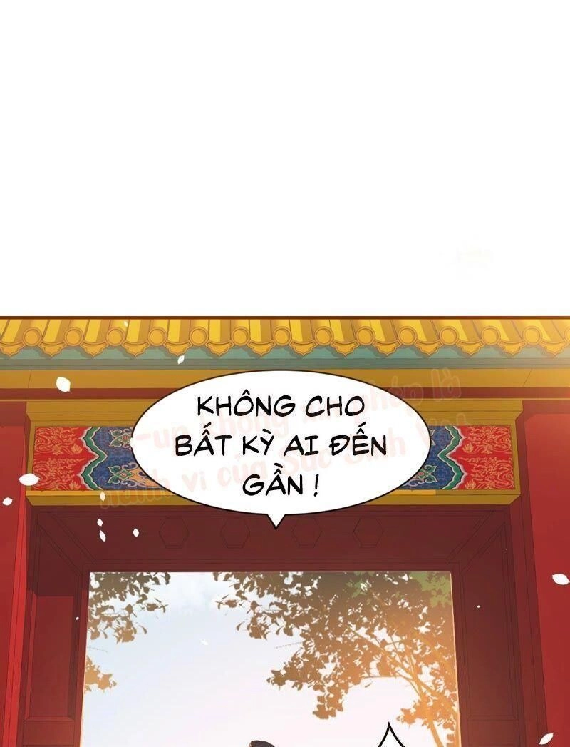 Quận Chúa Vững Vàng, Thiết Lập Nhân Vật Không Thể Vỡ Chapter 1 - 11