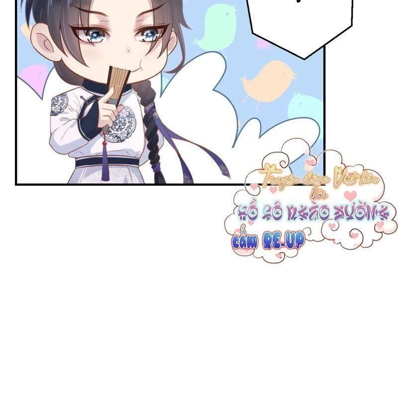 Quận Chúa Vững Vàng, Thiết Lập Nhân Vật Không Thể Vỡ Chapter 2 - 33