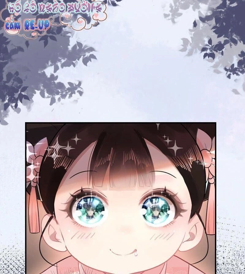 Quận Chúa Vững Vàng, Thiết Lập Nhân Vật Không Thể Vỡ Chapter 2 - 49