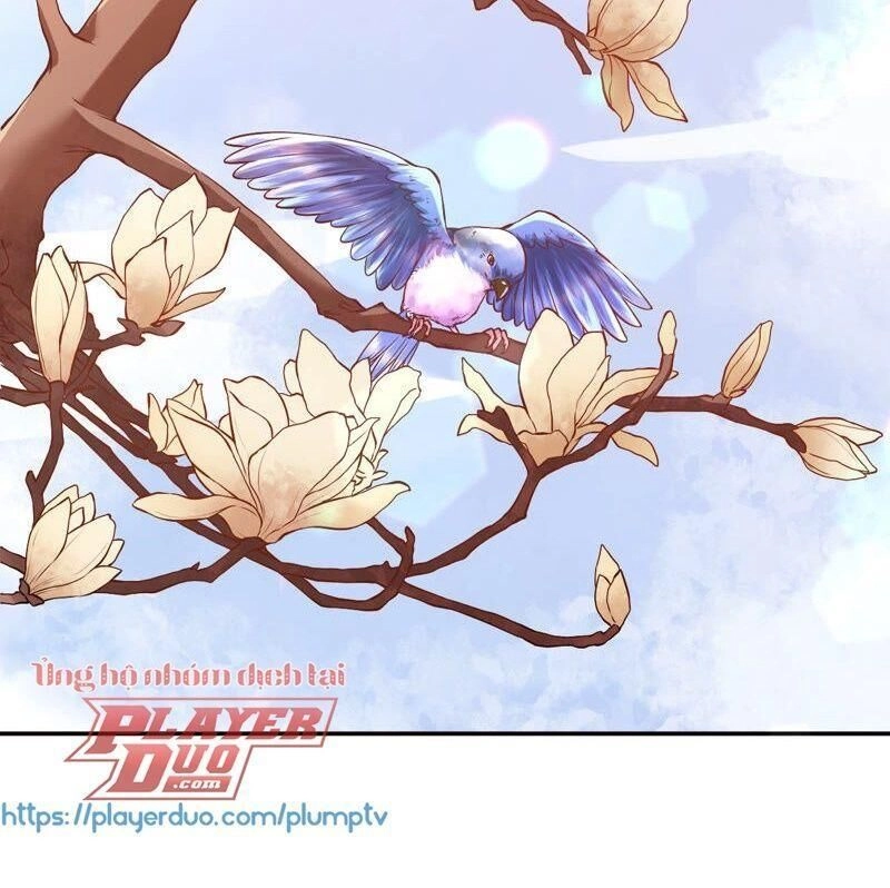 Quận Chúa Vững Vàng, Thiết Lập Nhân Vật Không Thể Vỡ Chapter 3 - 51