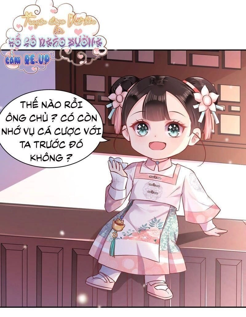 Quận Chúa Vững Vàng, Thiết Lập Nhân Vật Không Thể Vỡ Chapter 4 - 33