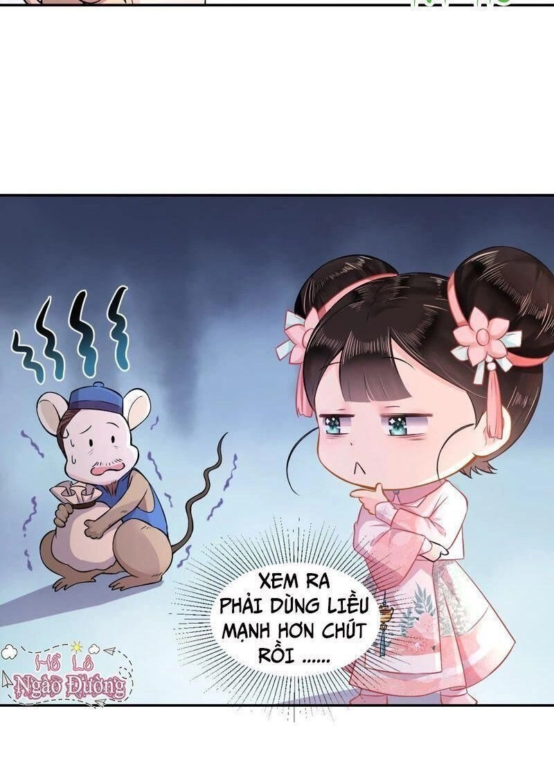 Quận Chúa Vững Vàng, Thiết Lập Nhân Vật Không Thể Vỡ Chapter 4 - 45