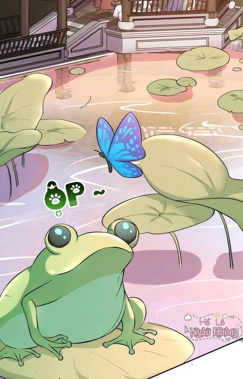 Quận Chúa Vững Vàng, Thiết Lập Nhân Vật Không Thể Vỡ Chapter 5 - 41