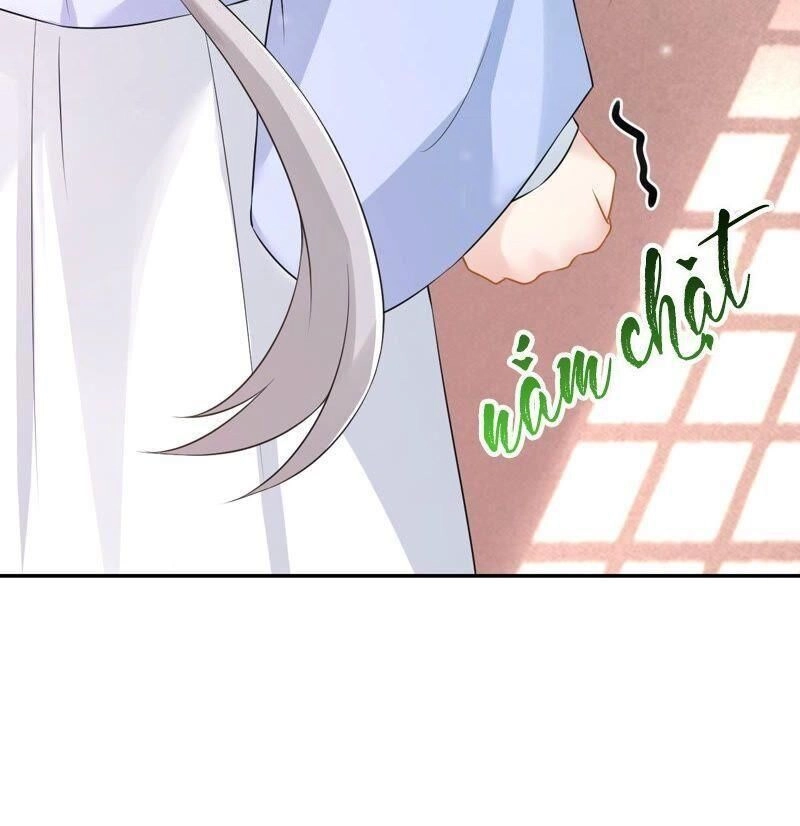 Quận Chúa Vững Vàng, Thiết Lập Nhân Vật Không Thể Vỡ Chapter 11 - 30