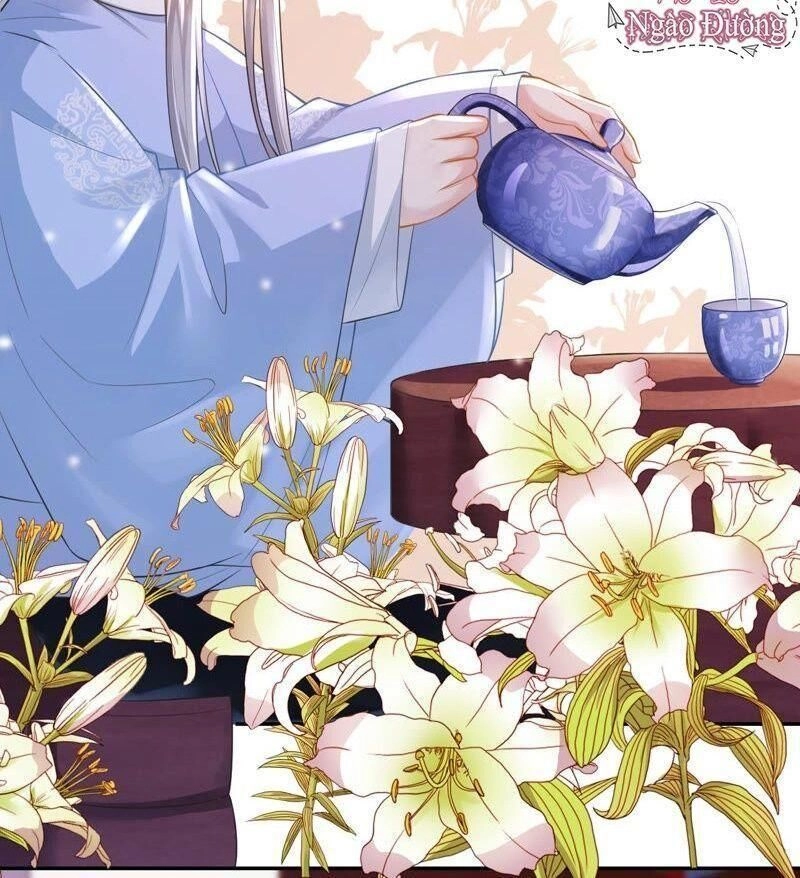 Quận Chúa Vững Vàng, Thiết Lập Nhân Vật Không Thể Vỡ Chapter 12 - 36