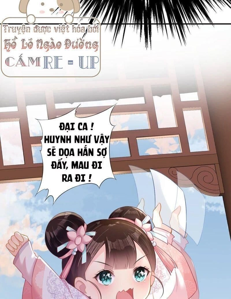 Quận Chúa Vững Vàng, Thiết Lập Nhân Vật Không Thể Vỡ Chapter 14 - 5