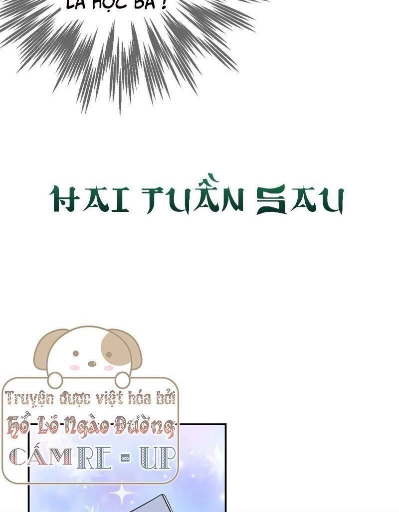 Quận Chúa Vững Vàng, Thiết Lập Nhân Vật Không Thể Vỡ Chapter 14 - 34